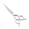 Lyrebird TOP CLASS pet Cosmetic Scissors 6 Inch Curved Scissors Pink Golden or Blue Handle Japan 440C High quality NEW6825269