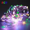 10M 33ft 100 led 12v power Red Blue,Warm white/RGB led copper wire string lights christmas festival wedding party decoration