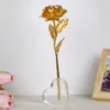 vaso de forma do suporte de plástico e vaso da forma da lua para exibição de flores stand acrílico