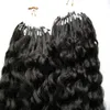 Mongolian kinky curly hair micro loop human hair extensions 200g #1 Jet Black Kinky curly micro loop hair extensions