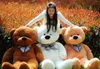 Fylld Teddy Bear Animals Dolls Plysch Leksaker Mjuk hud Vit Bown Rosa Fabriks Säker Björn för Girls Kids Xmas Presentstorlek 60cm Festival