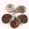 10Pcs/Lot Exotic Handmade Natural Ammonite Conch Shell Stone Pendant Bead Exquisite Fashion Brown Snail Agate Pendant For Wedding Men Women