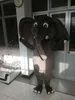 Горячие продажи мультфильм характер реальные фотографии слон талисман костюм взрослый размер бесплатная доставка