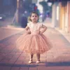 Mercan Balo Çiçek Kız Elbise Büyük Yay Ile Geri Cap Sleeve Tül Tutu Etek Kız Pageant Törenlerinde Bebek Düğün Örgün giymek
