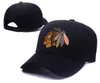 New 2016 Hockey Caps Team 조정 가능한 모자 레드 블루 블랙 컬러 12 팀 모든 모자 최고 품질의 모자 모든 모자