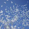 Palloncini matrimonio ad elio gonfiabili biodegradabili colomba bianca Palloncini per la decorazione di nozze bio palloncini a forma di uovo di pace