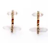 Nature Prism Stud Earrings Pave C Alloy Studs Crystal Rhinestone Charms Vintage Gold Tonal for Lady