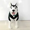 Dorimytrader Hot Giant Emulational Dog Peluche Farcito Realistico Black Husky Doll Decorazione Regali per Bambini 39inch 100cm DY60975