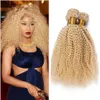 Blonde Afro-Kinky-Haarbündel Nr. 613 Platinblond, tief verworrenes lockiges mongolisches reines Menschenhaar, hochwertige Haartressen, 3 Stück