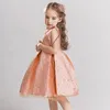 子供の女の子のドレス子供服刺繍王女のドレス青銅の子供服の女の子のためのドレス