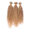 Honig Blonde Verworrene Lockige Menschenhaar-Webart Jungfrau Malaysian Hair Einschlagbündel 27 Afro Verworrene Lockige Blonde Haarverlängerungen 3Pcs / lot