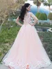 2019 Zuhair Murad Luxury Arabic Style Dresses Pale Pink Tulle Prom Pageant Gown