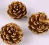 Naturlig tall julgransdekoration Ett paket 9 stycken diameter av 3-4cm pinecone hang julklappar gratis frakt cf001