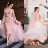 Blush Rosa Vestidos de Casamento Curtos Com Tule Trem Destacável 2017 Verão Sheer Neck Meia Manga Longa Bainha Applique Vestidos de Noiva