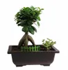 Potten Gratis verzending Hot Koop RetroStyle Plastic Bonsai Pot Balkon Vierkante Bloem Planter Kwekerij Potten Wastafel Maceta Cuadrada Groothandel