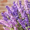 Zakka Estilo 9 Cabeças Fresco Roxo Plantas Falso Rendas Flor Artificial Rolo De Folhas De Lavanda Grama Jardim Decoração Floral Flores Arranjo