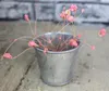 Metal cup Galvanized Succulent Pots Cheap Vintage Rustic Nostalgia Mini Garden Silver Cute Tin Planter Mini Galvanized Buckets