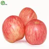 Contenere frutti vitaminici semi di mela verde verdure organiche e semi di frutta deliziosi 30 particelle / lotto V011