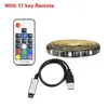 5050 DC 5V USB RGB LED Strip 30LED/M Light Strips Flexible Waterproof Tape 1M 2M 3M 4M 5M Remote For TV Background