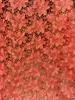 Fabric Gorgeous fuchsia cord lace embroidery african guipure lace with flower water soluble lace fabric for party dressing QW182