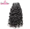 2 pcs/lot Extensions de Cheveux Humains Brésilien Remy Cheveux Vierges Tisse Vague D'eau Grande Extension Bouclée Cheveux Trames Teintable Noir Naturel