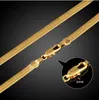 Mode Schlangenkette 18 Karat Gold IP-plattiert Breite Schlangenketten Ketten Schlüsselbein Knochen Frauen Halsband Halskette 50 cm/60 cm