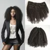 afro kinky curly clip ins