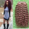 Bundels # 99J rode wijn menselijk haar bundels weven 200g 2 stks / partij Braziliaans haar weave bundels dubbele inslagkwaliteit, afro kinky krullend haar