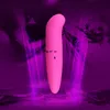 Vattentät Mini Bullet Vibrator Vibrating G-Spot Dildo Massager Female Sex Toy #R92