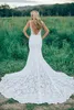 Sexy Deep V Neck Backless Mermaid Lace Wedding Dresses New Arrivals 2016 Cheap Country Garden Beach Chapel Long Train Bridal Gowns EN6161