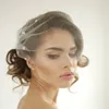 Silk Tulle Bandeau Birdcage Wedding Veil With Flowers Headband Veil Short Bridal Veils White/Ivory/Beige Tulle Birdcage Veils