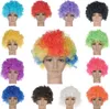 Unisex clown fans Carnival Wig Disco Circus Funny Fancy Dress Party Stag Do Fun Joker Adult Child Costum Afro Curly Hair Wig Even 6574918