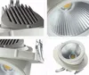 Ajustable 30W Blanco cálido / Blanco natural / Blanco frío COB LED Gimbal Lámpara de maletero LED integrada Luz de techo Lámpara de tienda AC85-265V