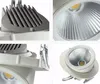 Regolabile 30W Bianco caldo / Bianco naturale / Bianco freddo COB LED Gimbal Lampada da tronco a led incorporata Lampada da incasso a led Lampada da negozio a led da incasso AC85-265V