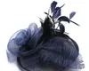 European ladies hat Ma yarn ostrich hair material Western banquet hat wedding headdress 7647458