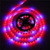 LED Grow Lights DC12V Uprawa LED Strip 5050 SMD Non-Wodoodporna IP20 Wzrost roślin Światła do hydroponii cieplarnianej