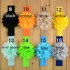 16 Farben Spitze Blumen Haarband Haarseil Band gestricktes elastisches Stirnband Stirnbänder Baby Haarband