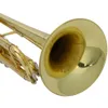 New Beginner Paint Gold Drop B Adjustable Bb Trumpet With Mouthpiece Case Kit for Student School Band Golden2649487