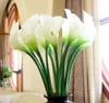 Largo 6 "* 3.5" Latex Calla Lily Flores Artificiales Color Blanco Flores Decorativas Artificial Lily Wedding Party Decoraciones para Eventos 20 unids