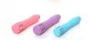 Waterdichte Bullet Pocket Dildo Vibrator G-spot Climax Massager Clit Femal Masturbate Vibrator Aldult Seksspeeltjes voor Vrouw