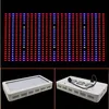 Fabrikspris DHL gratis! Högkvalitativ 600W Full Spectrum LED Grow Light Red / Blue / White / UV / IR AC85 ~ 265V SMD5730 LED-lampor