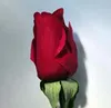 Economische 30 stks MOQ gesimuleerde verse rozenkunstmatige latex bloemen Echte touch bloem voor bruiloft of verjaardagsweergave bloemendecoraties