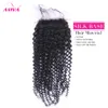 Silk Base Closure Peruvian Indian Malaysian Brazilian Top Lace Hair Closure Unprocessed Remy kinky curly Virgin Hair Extensions