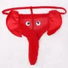 Sex Micro Thongs Mens Sexy ملابس داخلية الملابس الداخلية ملخصات داخلية للملابس الداخلية للملابس الداخلية للملابس الداخلية لـ Male1339043