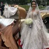Vestidos lindos vestidos de noiva de vestido de bola de renda cheia com ilusão de pescoço profundo em Vpliques 3d mangas compridas vestidos de noiva sexy traseiro