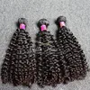 10-24 cal 4 sztuk / partia Human Fairgress Gospodarki Najwyższej Jakości Malezyjski Włosy Grade 9a Natural Black Curly Hair Weft Darmowa Wysyłka