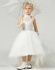 Custom Made Pretty Halter Lace and Tulle Sleeveless High Neck with Beading Ball Gown Hi lo Flower Girl Dress Backless Pageant Dresses