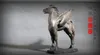 Messingpferdskulptur implizierte Bedeutung "schnell steigen in der Welt" Höhe 36 cm Breite 25cm Dicke 15 cm kreatives glückliches Verzierungspferd