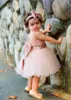 Vestido de fiesta de cumpleaños del banquete de boda del cuello de equipo infantil rubor rosa de tul niño del bebé vestidos de niña de las flores de oro rosa de las lentejuelas arco del cordón Vestidos Tutu