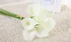 Partihandel 50st MOQ Real Touch Lily Simulation Wedding Flower Buketter Konstgjord Calla Lily för brud och heminredning (ingen vas)